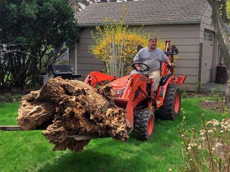 Kubota B2920 Tractor in action 4 of 4